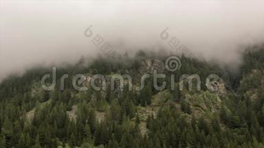 雾在蒙特罗莎附近的格雷斯尼山谷的一片森林上<strong>快速</strong>移动的<strong>时间流逝</strong>
